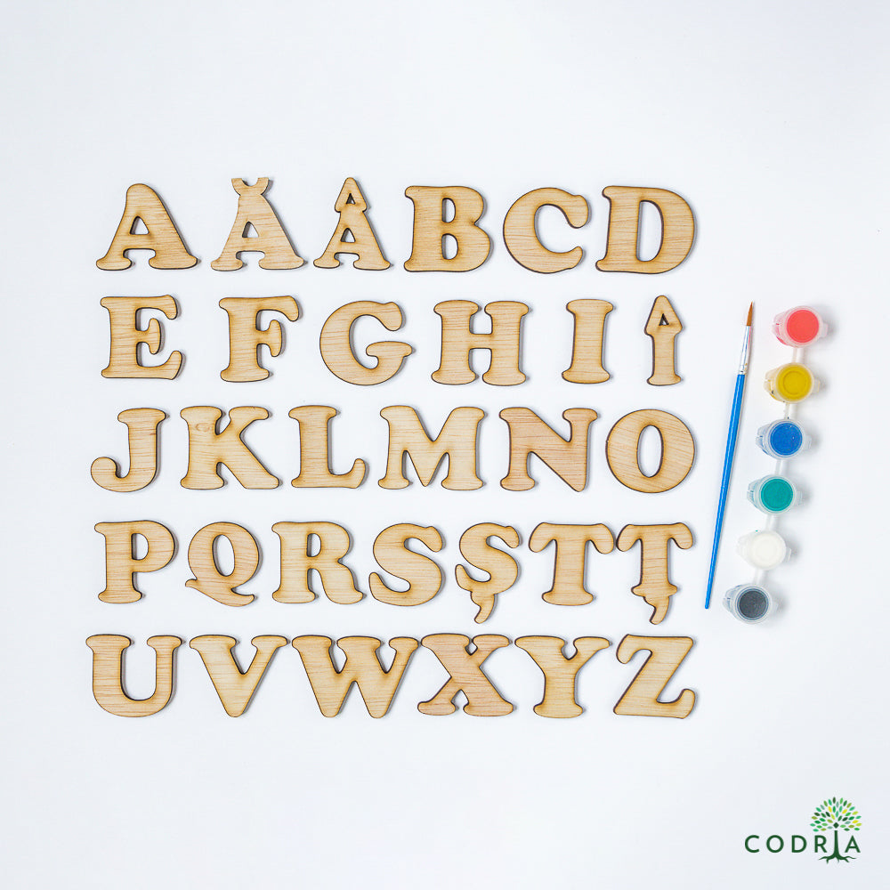 Alfabet din lemn cu pensulă și culori